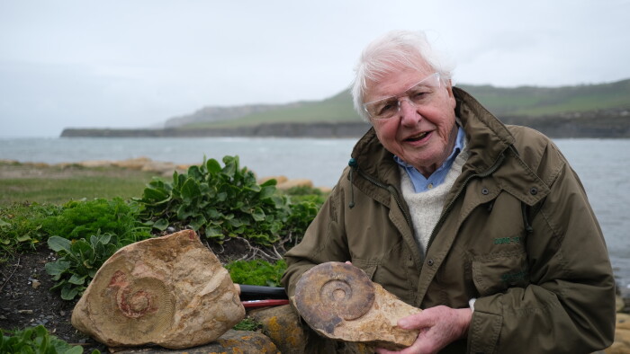 David Attenborough holding a fossil image